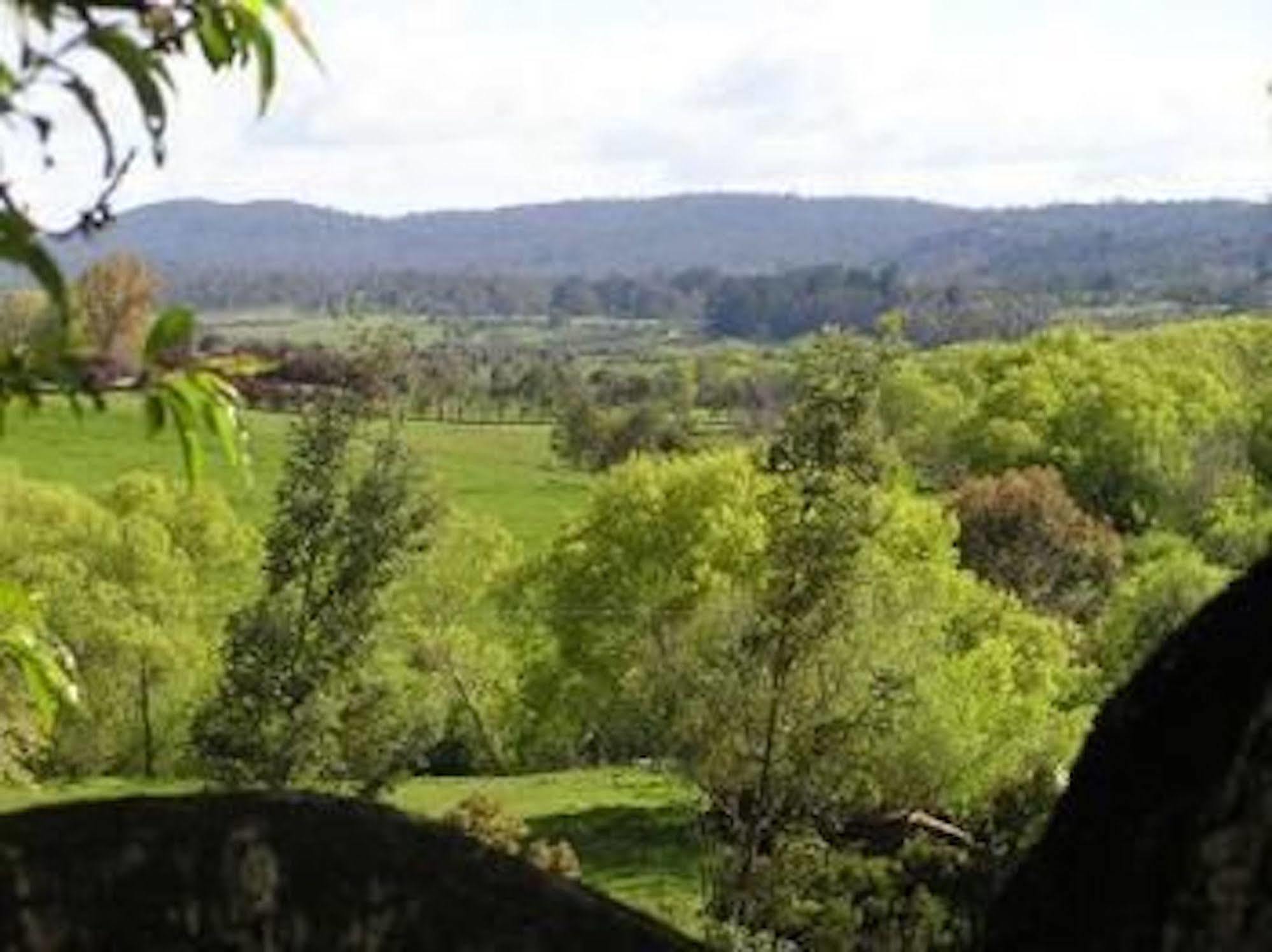 The Stable Lofts Guest House Carrick Bagian luar foto