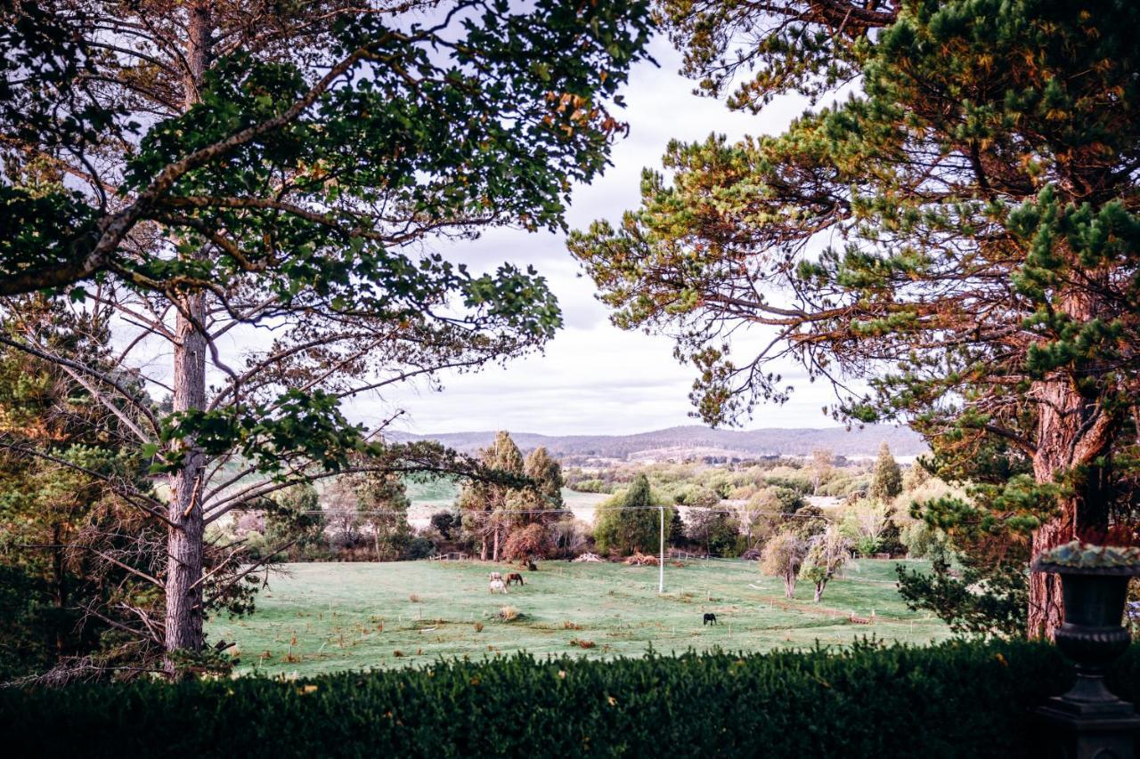 The Stable Lofts Guest House Carrick Bagian luar foto
